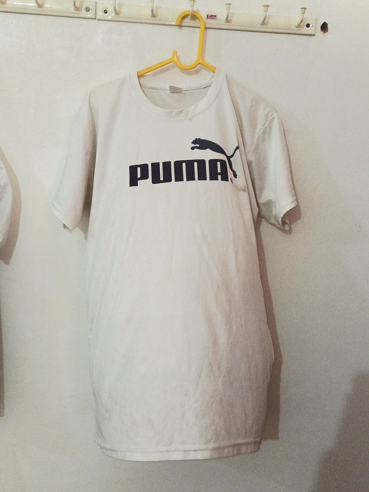 L Size Used