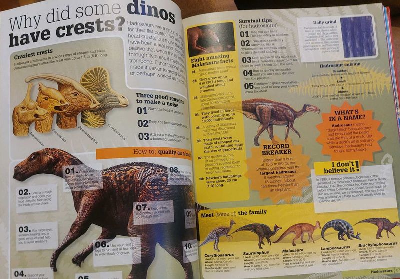 BRAND NEW ENCYCLOPEDIA 📖