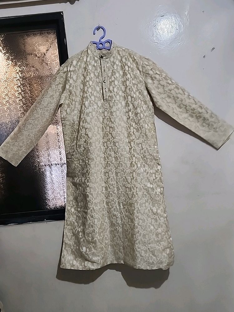 Sarvani Top