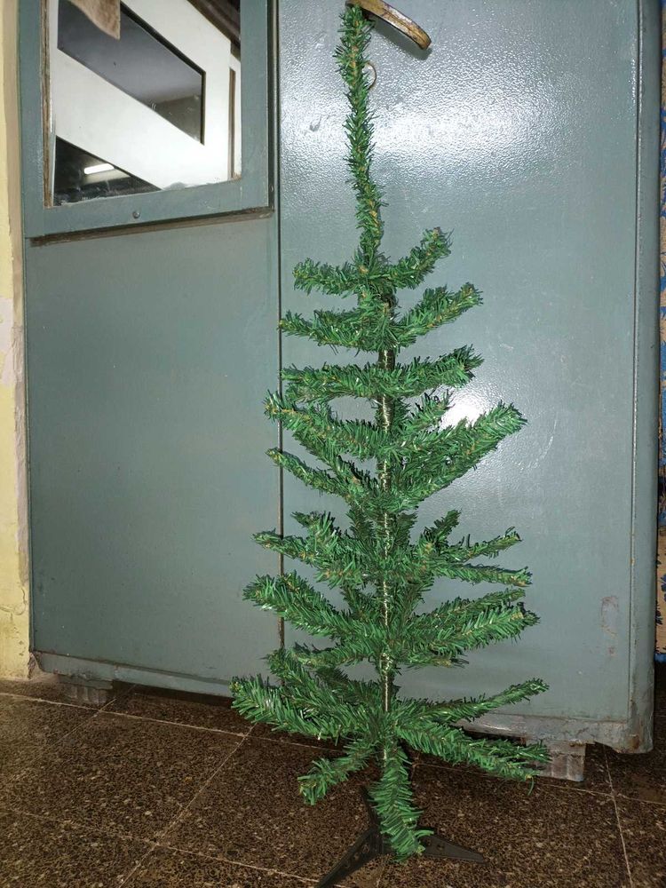 Christmas tree and decoration