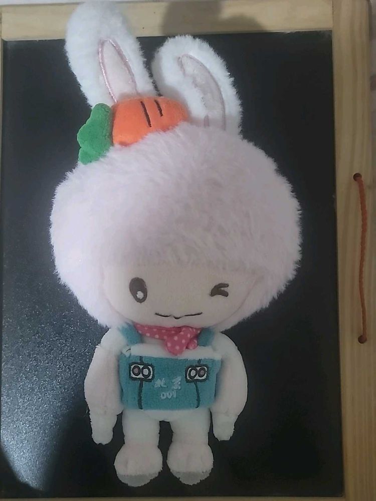 Cute Rabbit Plushie