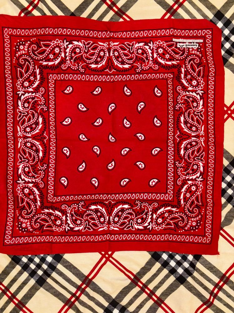 Red Paisley Bandana