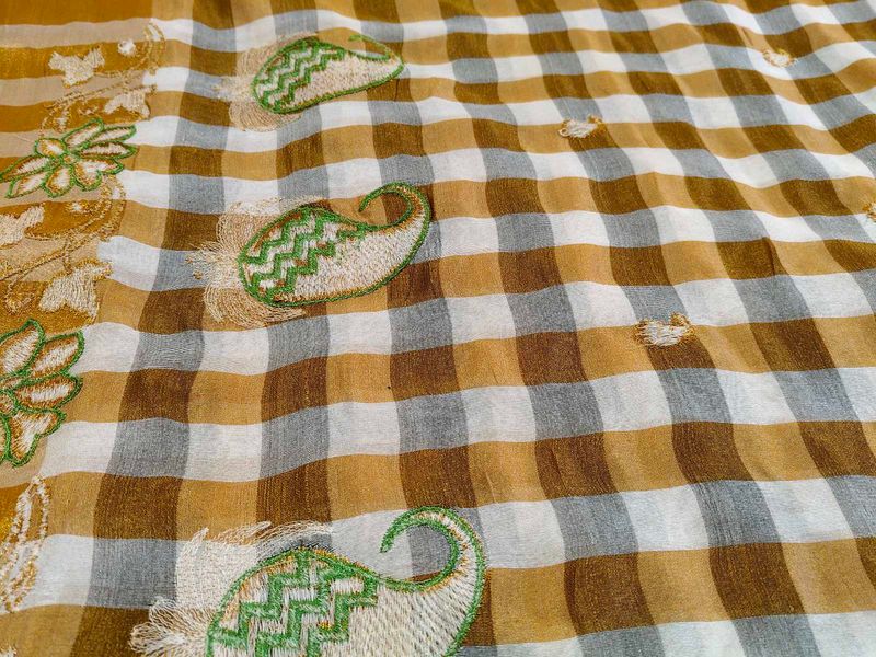 Checked Saree with Embroidery