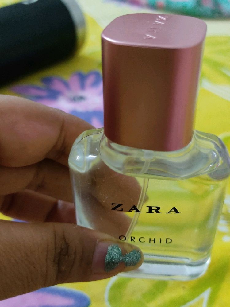 Zara Orchid