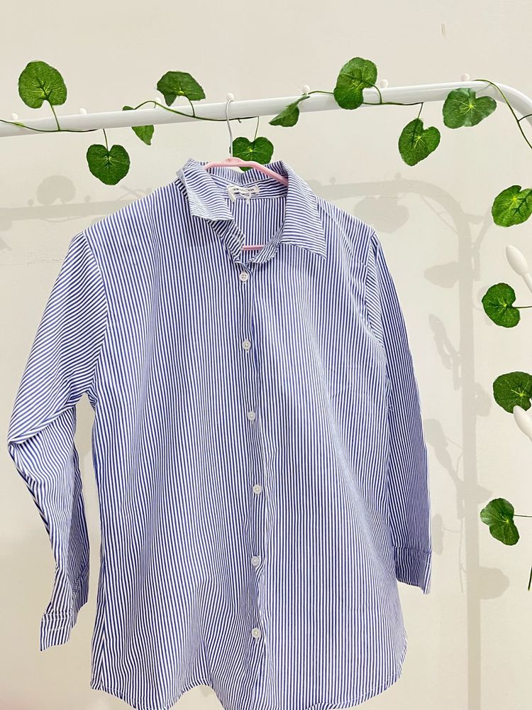 Striped Button-Down Shirt