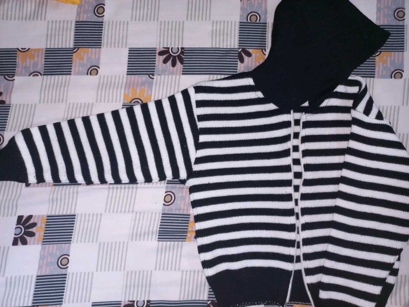 Striped Knit Hoodie