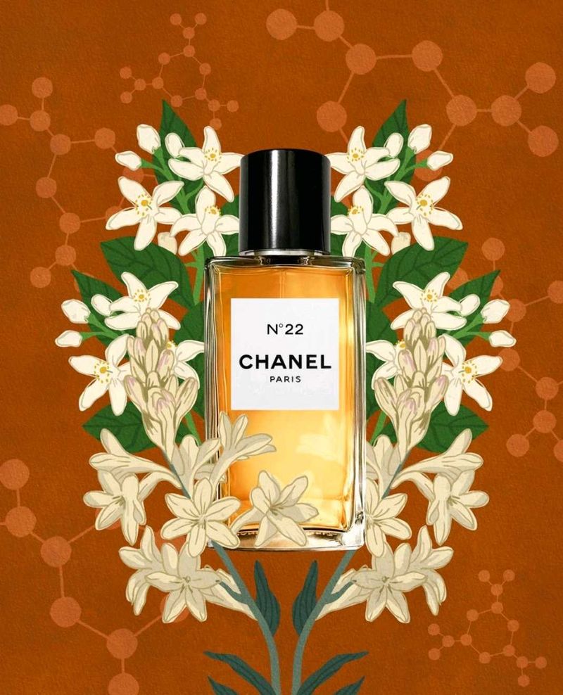 Chanel N°22 EDP 75ml  ( RARE Find) ⭐️⭐️⭐️