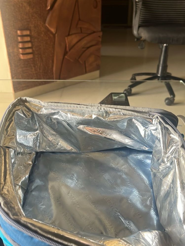 insulated tiffin bag fr kids and office use