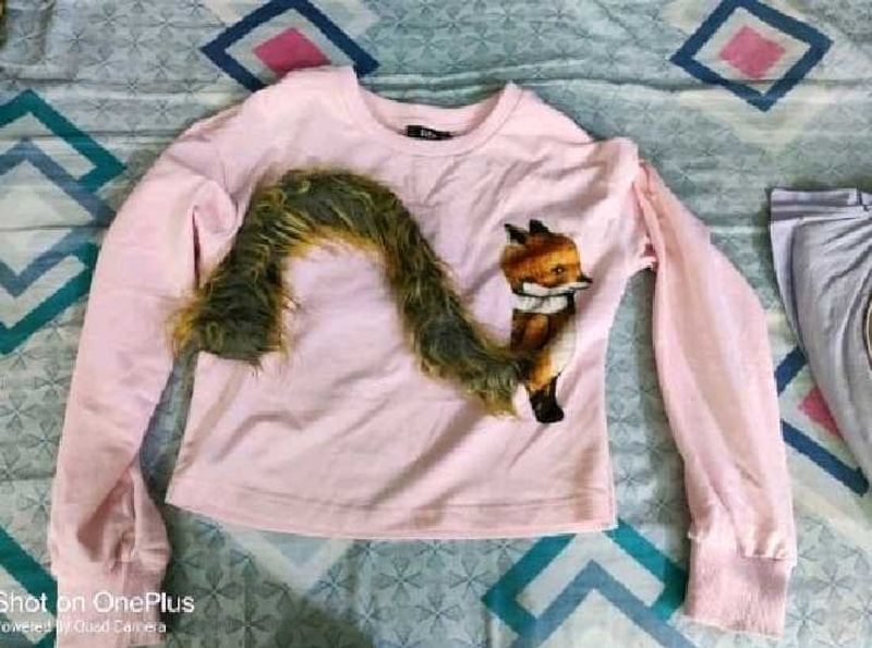 Cute Fox Graphic Pink Sweatshirt