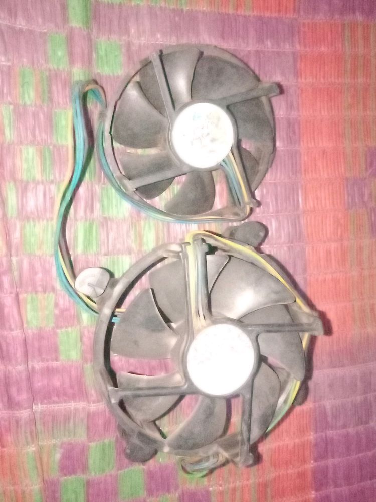 Fan