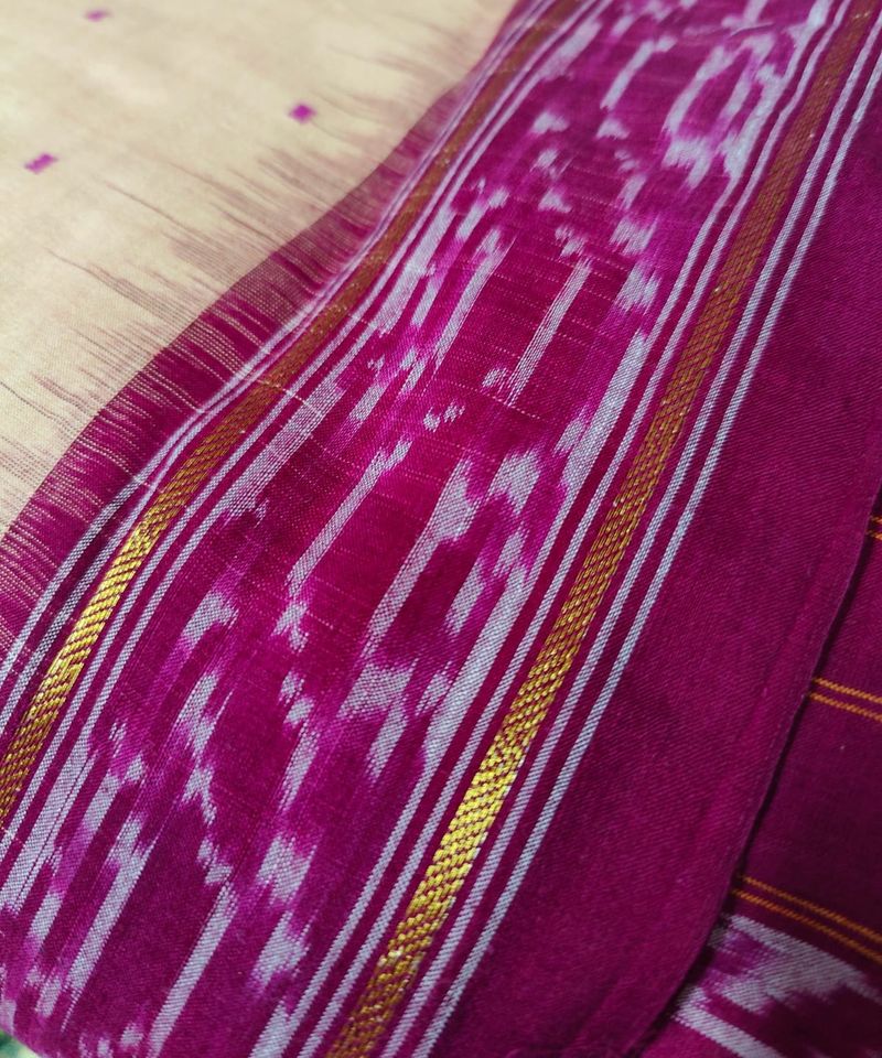 Cotton Odisha Sambhalpuri handloom saree