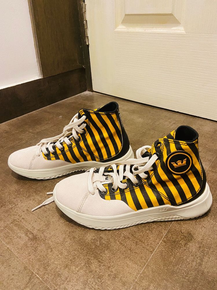 New Shoe