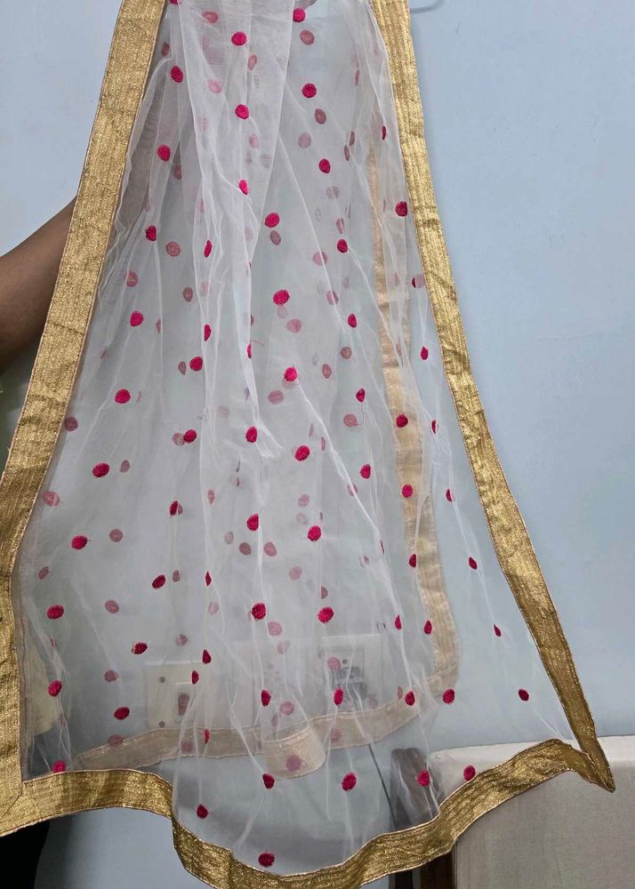 Stylish White Net Dupatta