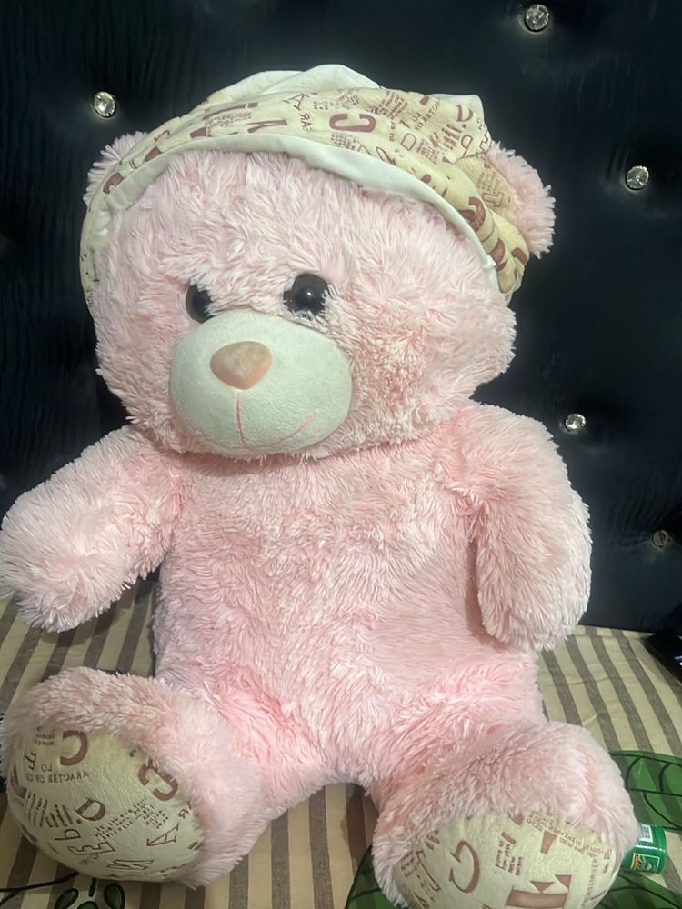Pink Teddy