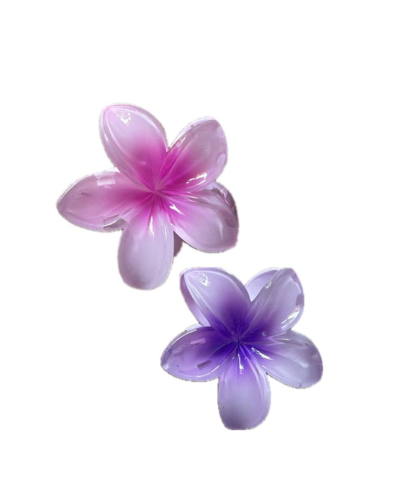 Flower Hair Clips (Set of 2)