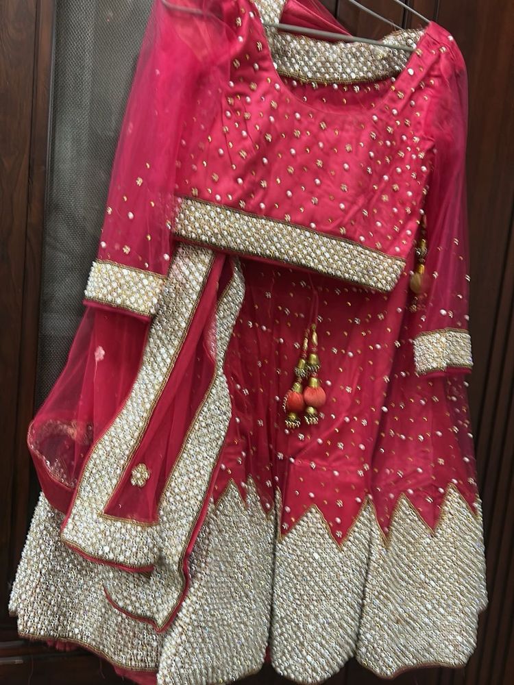 Elegant Pink Lehenga Choli Set