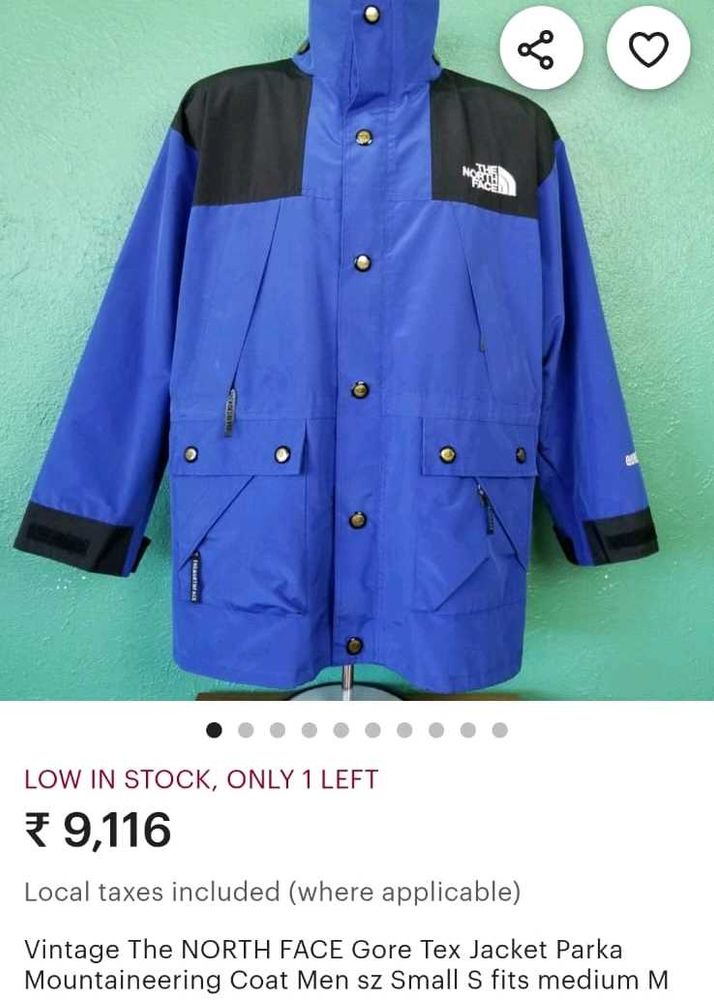 The North Face Gore-Tex Jacket