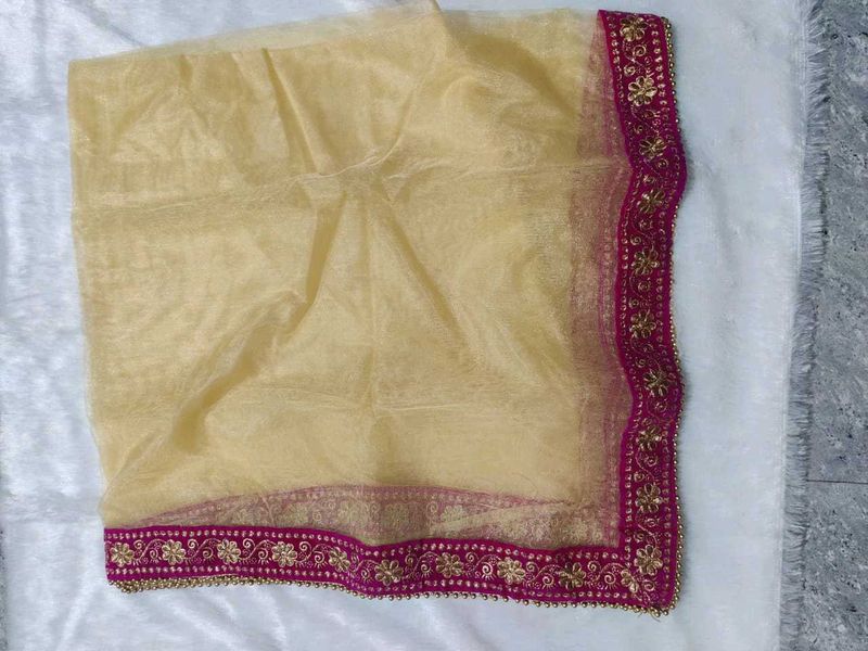 Elegant Pink Border Dupatta