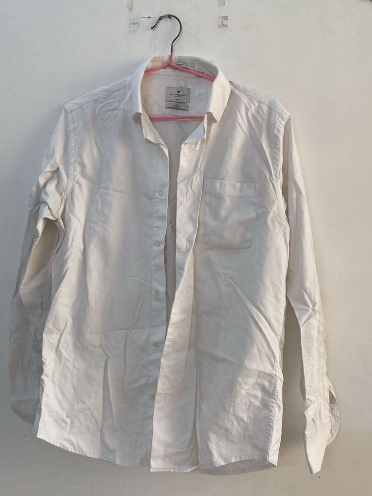 Blackberry Shirt For Him