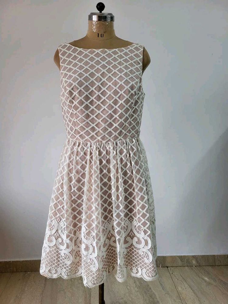 Lace Overlay Fit &amp; Flare Dress