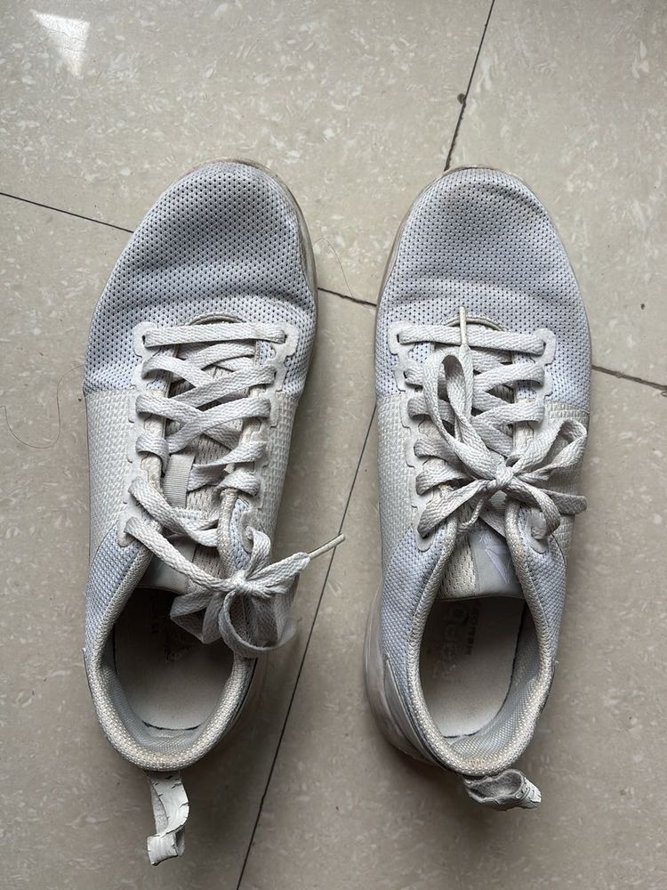 Reebok Sneakers
