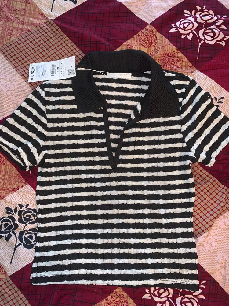 Zara Striped Knit Polo Top