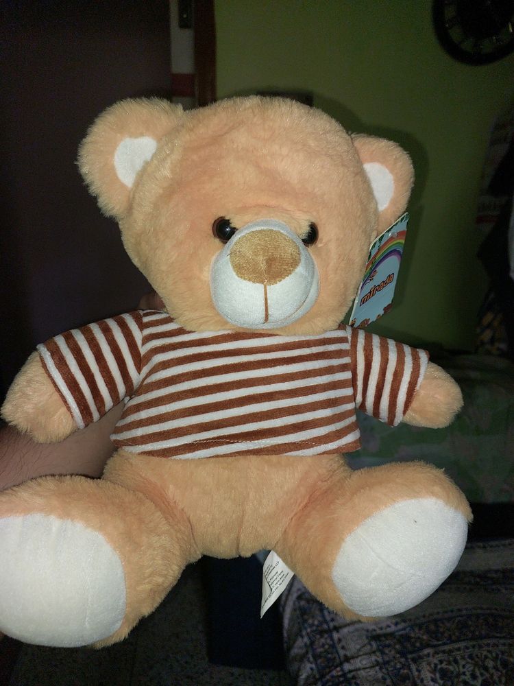Cute Teddy Bear🩷