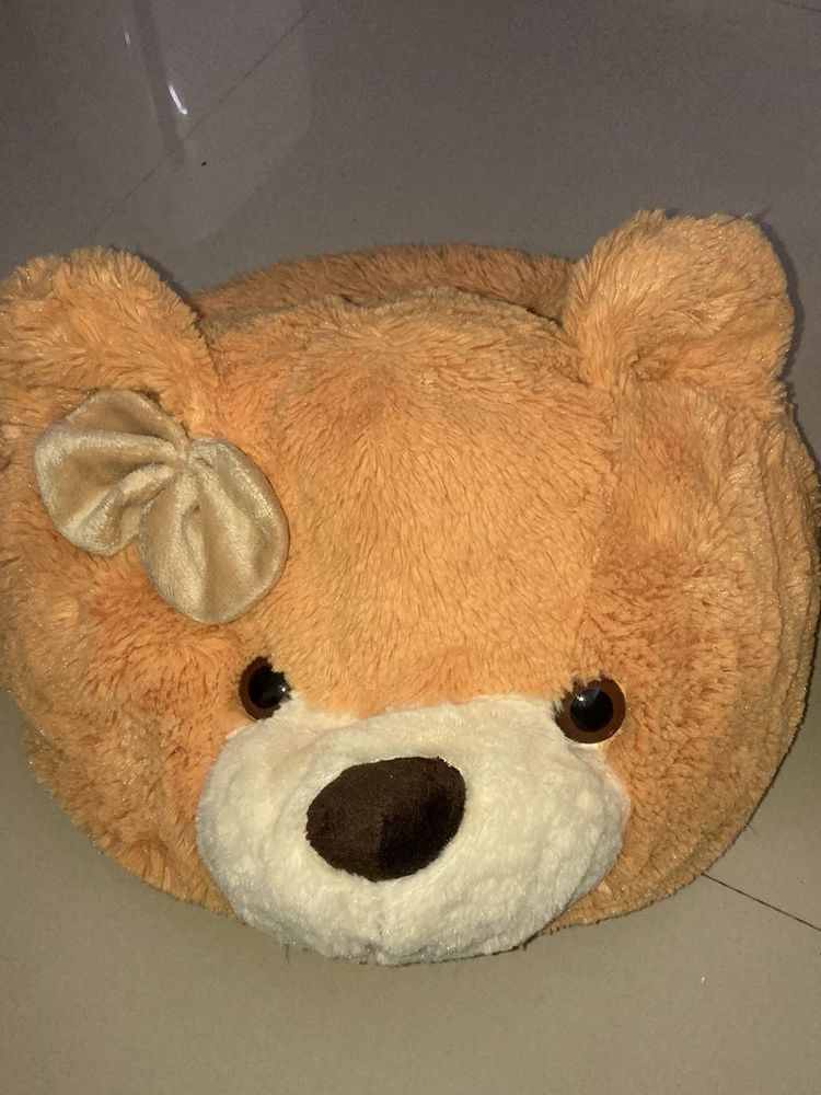 Teddy Bear Storage