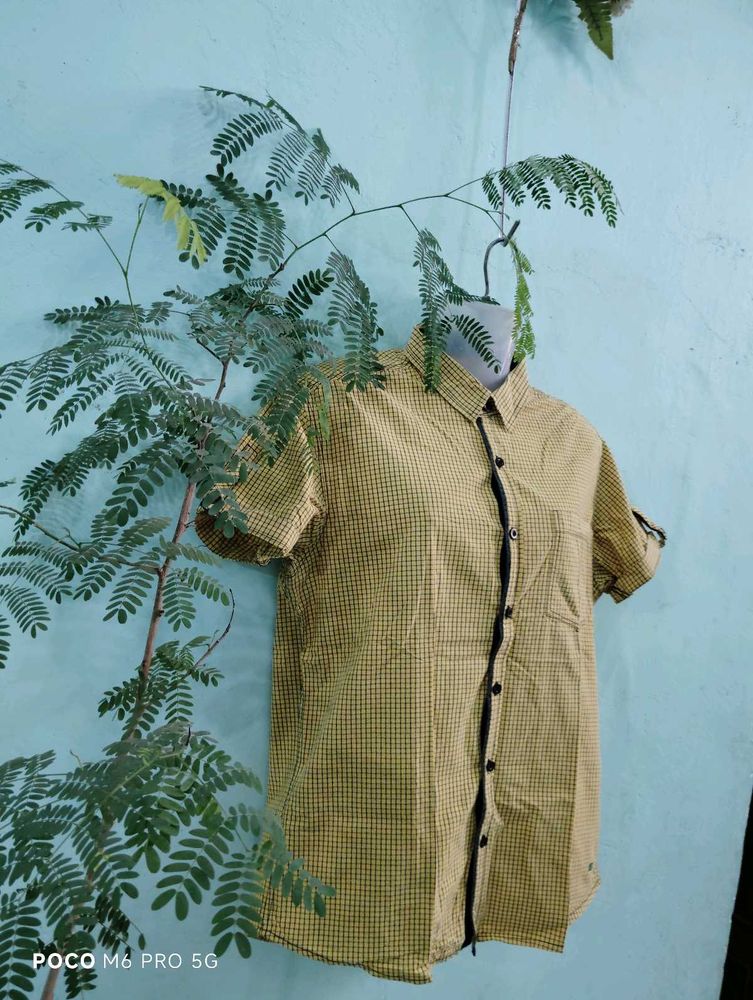 short-sleeve button-down