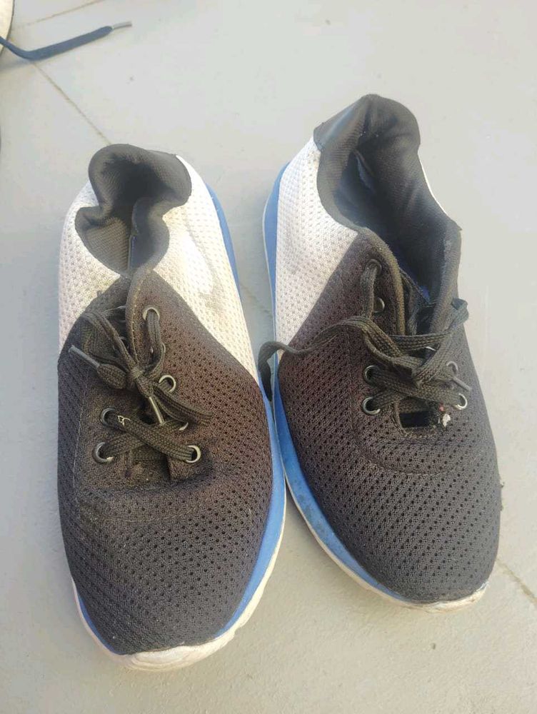 shoe