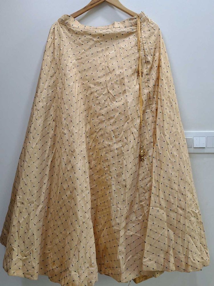 Elegant Ethnic Skirt