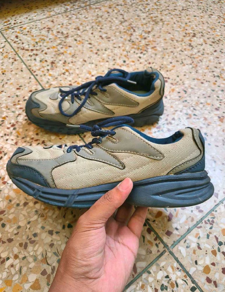 Sparx Shoes,  Size : 08