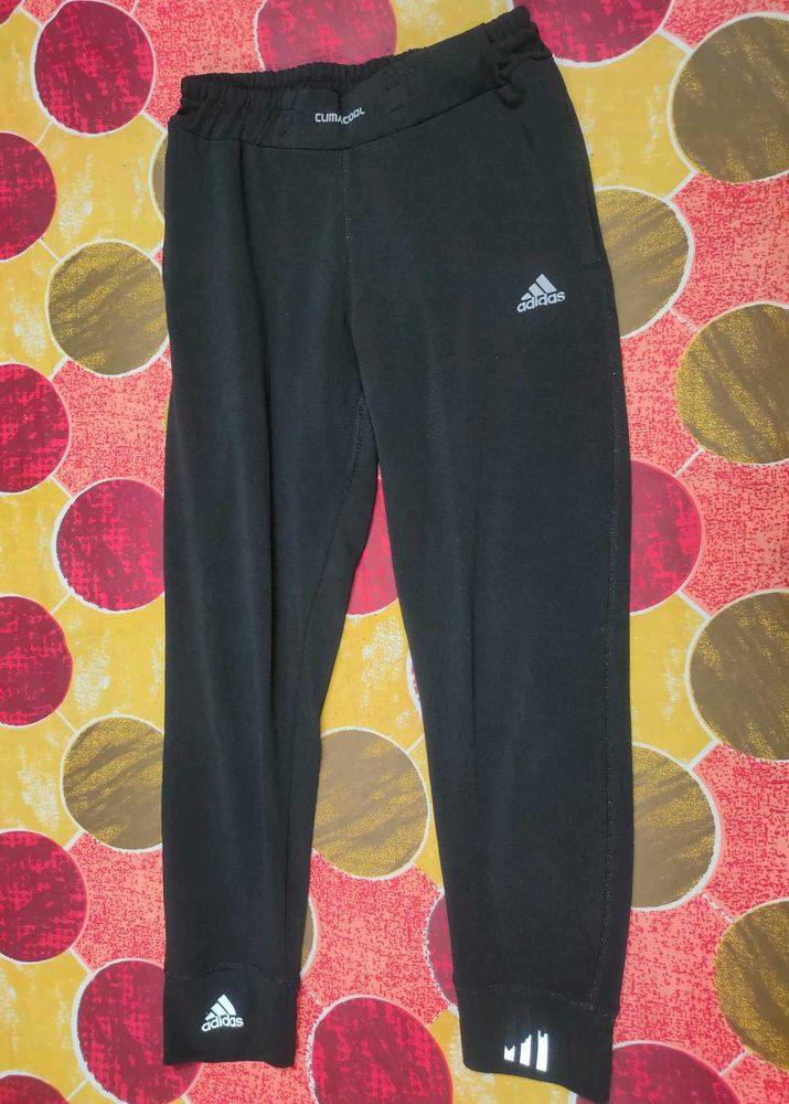 Black Yoga Or Gym Bottomwear