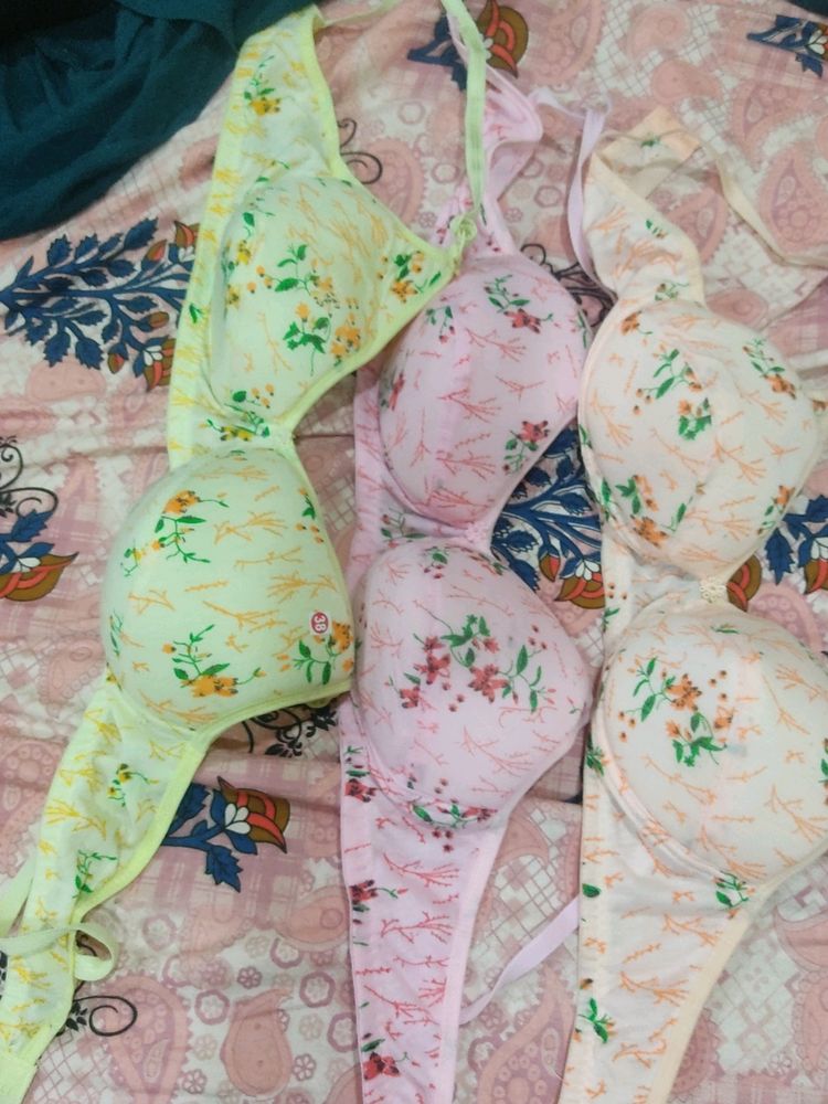 Padded Bra(38A)