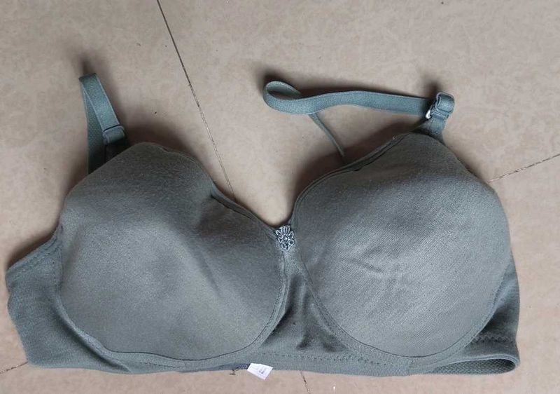 Sage Green Everyday Bra, 1 Padded Bra
