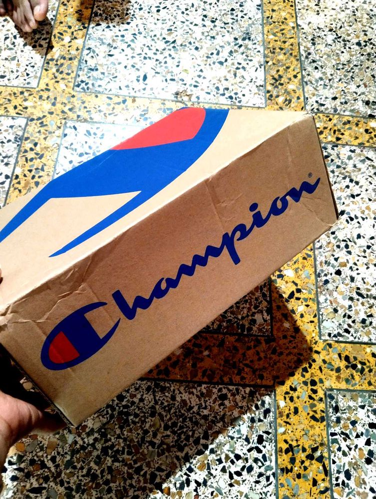 Champion Shoe Sneakers 👟