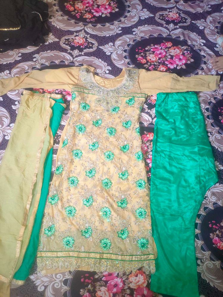Elegant Indian Salwar Kameez