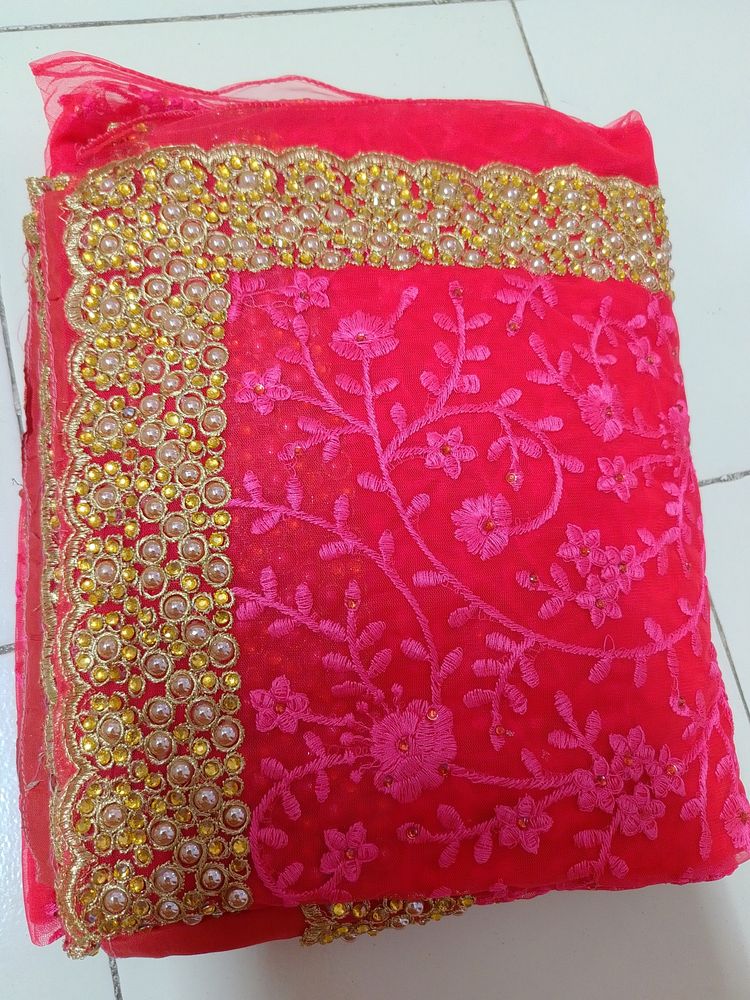 Beautiful Dulhan Saree
