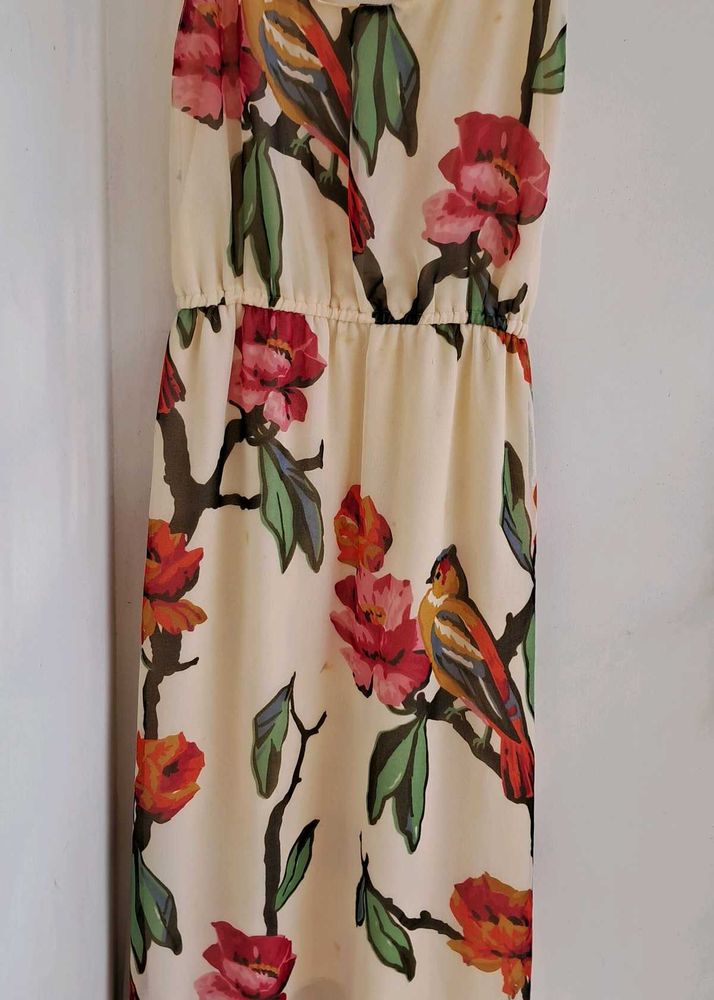 ZARA Maxi Dress