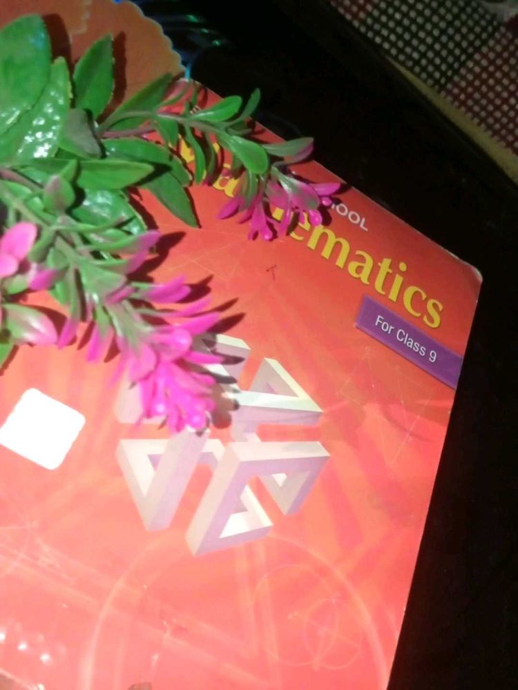 Mathematics Textbook for Class 9