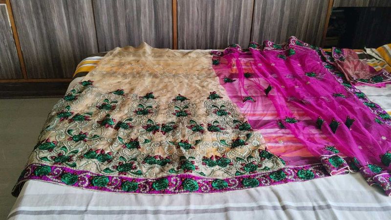 Lahenga Sari With Blouse