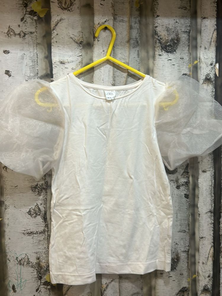 Baby Pink Zara Organza Sleeves Top