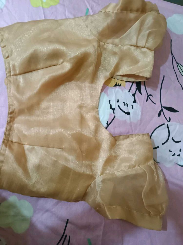 Organza Puff Sleeve Boluse