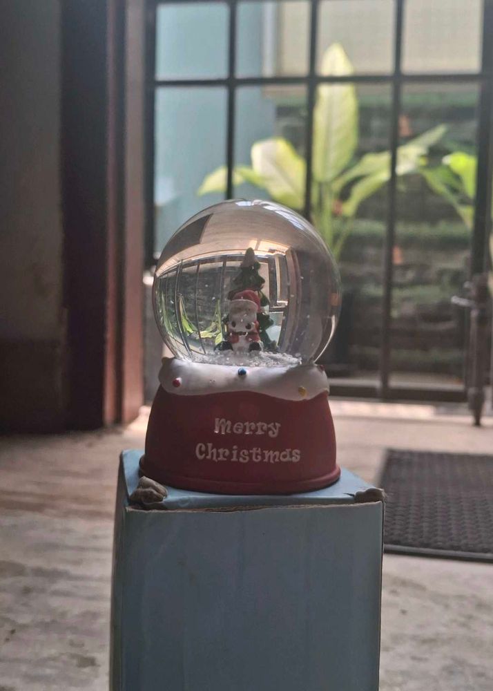 Christmas Snow Globe