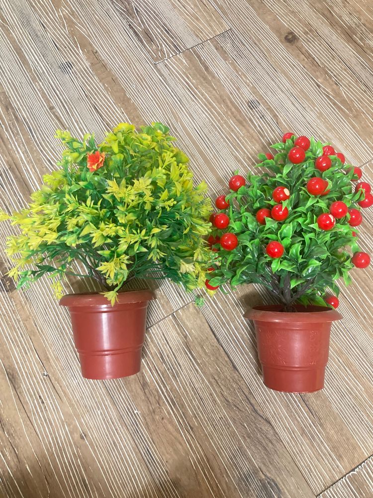 Set Of Artificial Plants 🪴