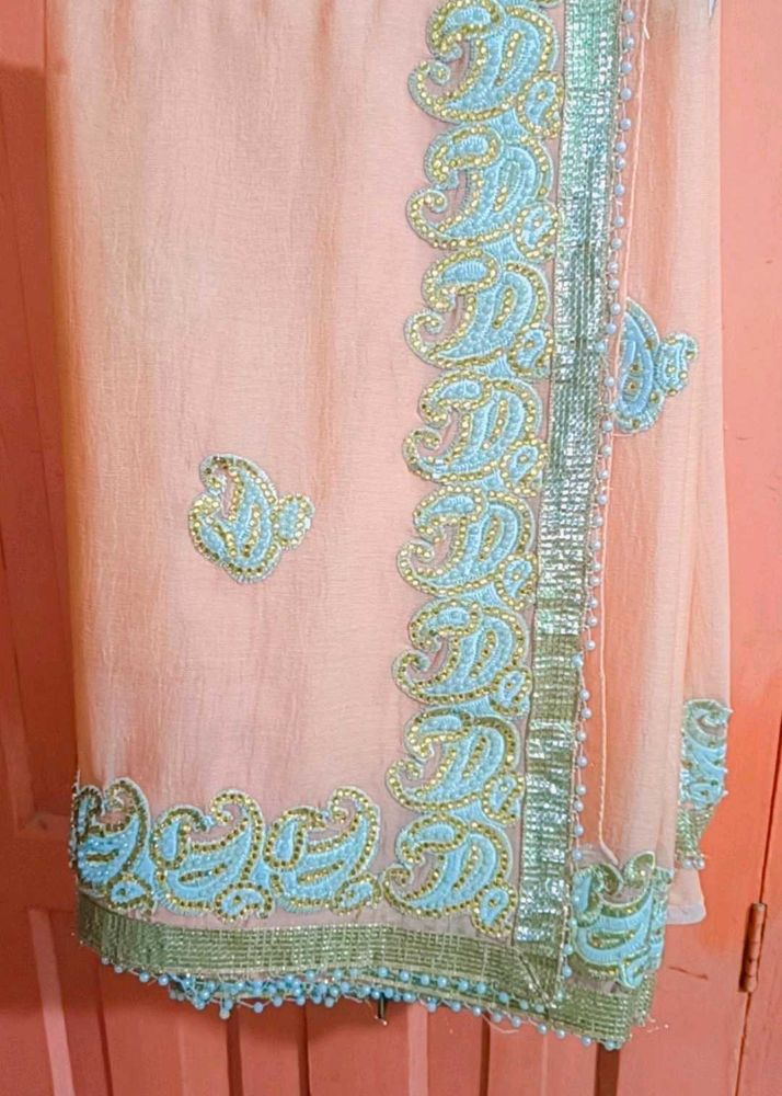 Elegant Embellished Saree