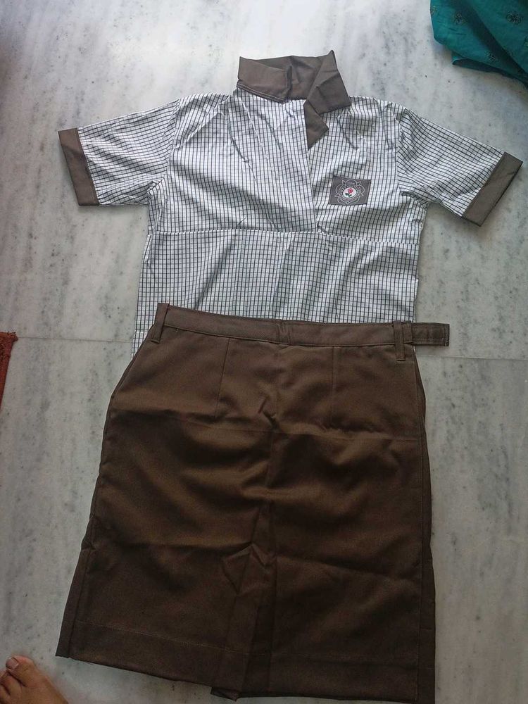 White Shirt With Brown Skirt.