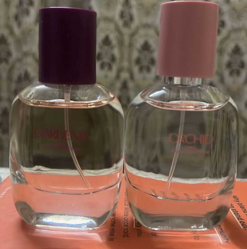 Orchid + Gardenia (Combo)