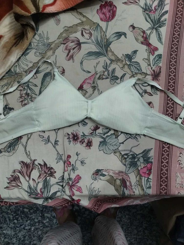 Padded Bra