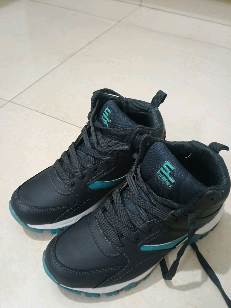 New Shoes Casual